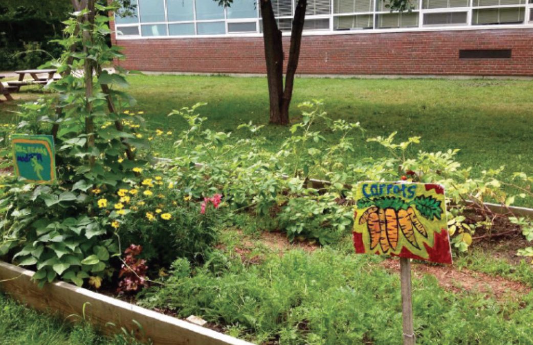 About school gardens